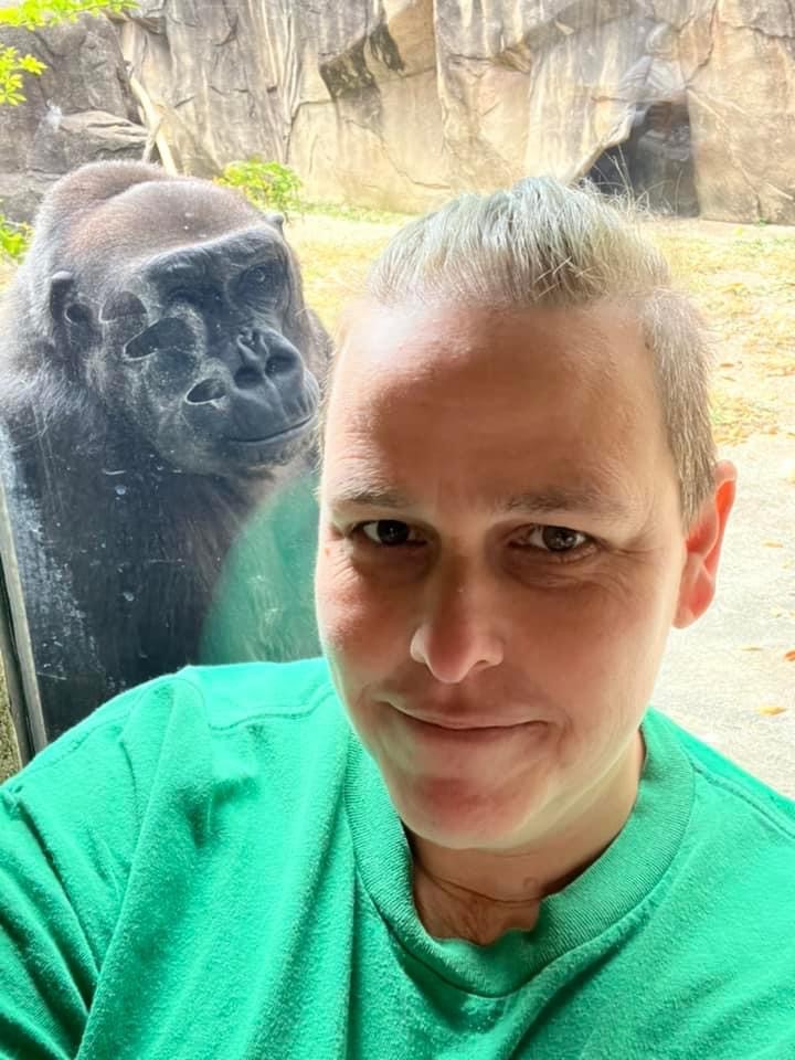 LouisvilleZoo's tweet photo. #ZooKeeperWeek is almost over! Time to get creative. Let's call our Gorilla Forest keepers! When you are a Zoo keeper, you need dedication, ingeniuty, patience & lots of creativity! Gorilla Forest keepers are excellent at creating fun, stimulating and BEAUTIFUL enrichment. https://t.co/mbi1ot0RYT