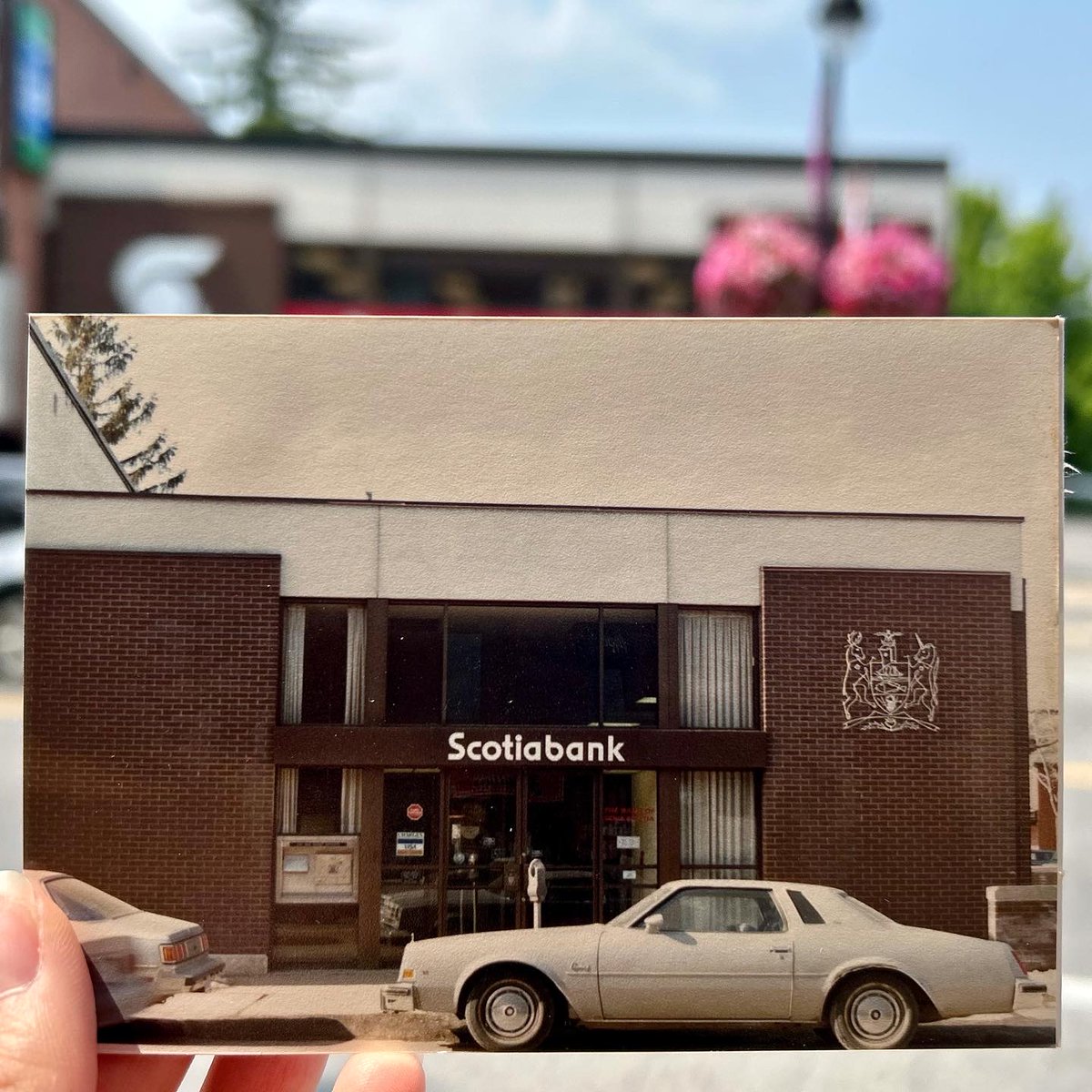intheglebe's tweet photo. A look back in time at the Scotiabank building here in the Glebe! 🏫🕰️
#intheglebe #vintagephoto #scotiabank #myottawa https://t.co/GGlX51VJaV