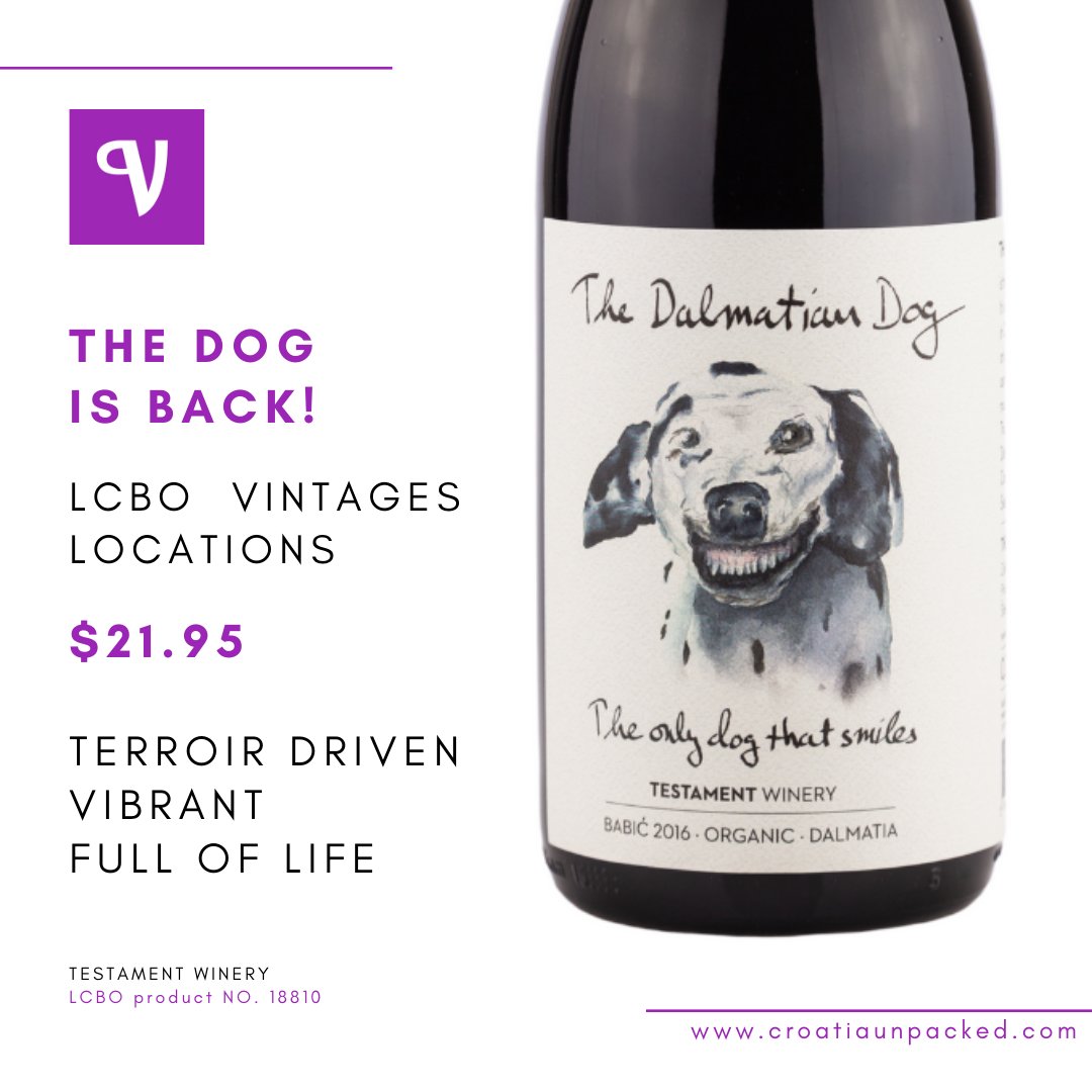 The dog is back and now available at LCBO Vintages across Ontario.

It’s time to catch the only dog that smiles while you can! 

Follow the link below to see nearby LCBO availability.

lcbo.com/en/storeinvent… 

#dalmatia #babic #dalmatiandog #bestseller #croatia #thedogisback