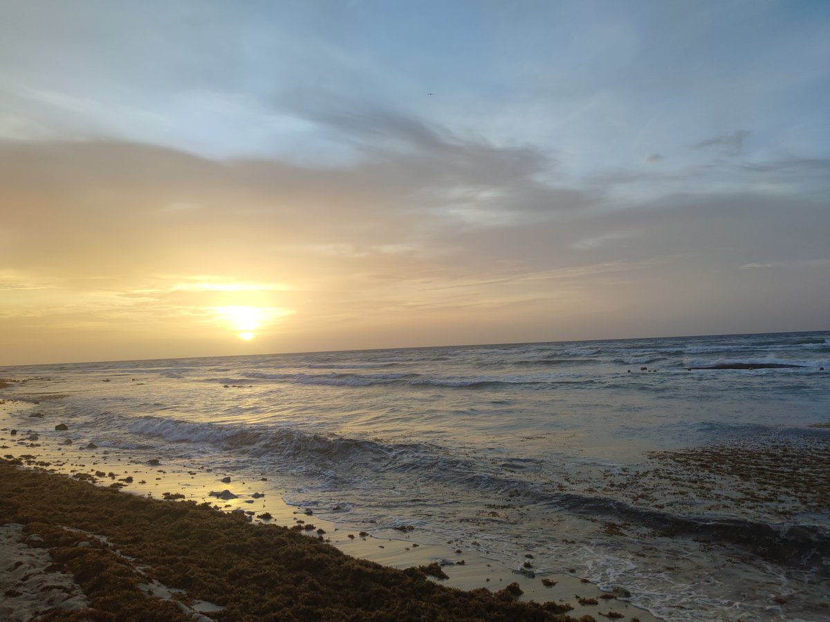 JessRom76895653's tweet photo. No me cansaré de buscarte en todos los amaneceres y algún día te encontraré. Lo sé 🧡 https://t.co/UuEzH7zHj2