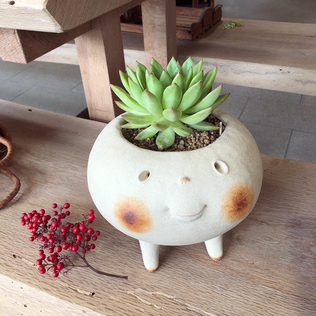 『植木鉢展』始まってます🌱
kasama-hisa.jp/gallery/

小さなこじこじはいなくなってしまいましたが、
大きなこじこじたちがまだまだおります。
大きなこじこじを待ってたよー！という方はぜひ足をお運びください☺️
（※尚こじこじは植木鉢じゃなくてこじこじです😉）