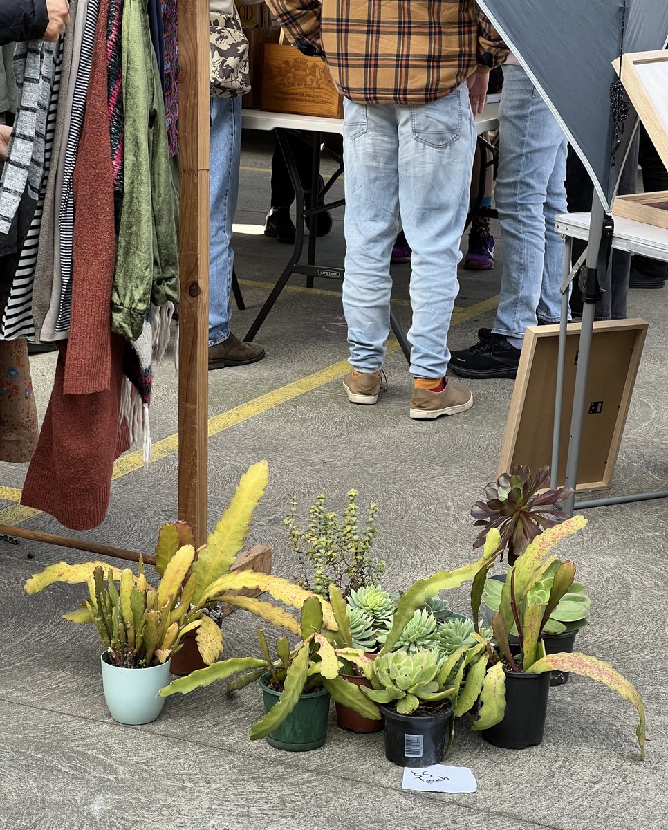 709 (@swimboundaries) on Twitter photo 