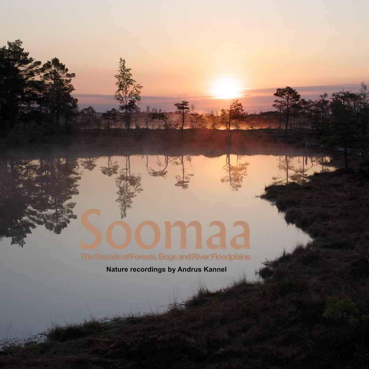 AndrusKannel's tweet photo. A two-minute recording of the trumpeting calls of cranes in the wind. The mutual calls of crane pairs are a very characteristic sound for the Soomaa National Park, Estonia.  July 14, 2023
https://t.co/l3UUmraJHX https://t.co/B5SpseubGm