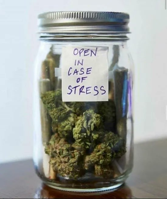 How often would you open it?