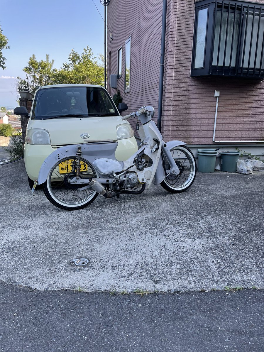 ホワイトリボン