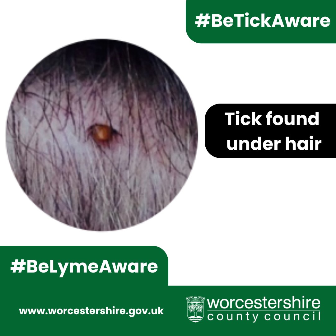 Worcestershire County Council tweet media