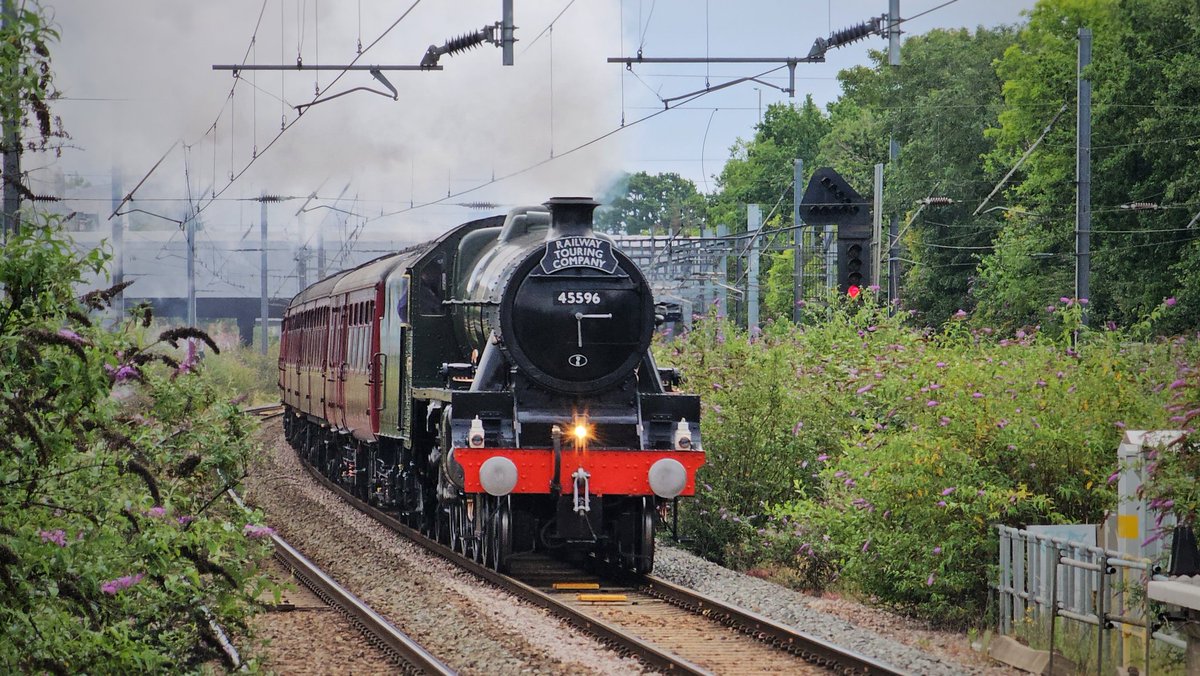 Saaluvesh tweet media