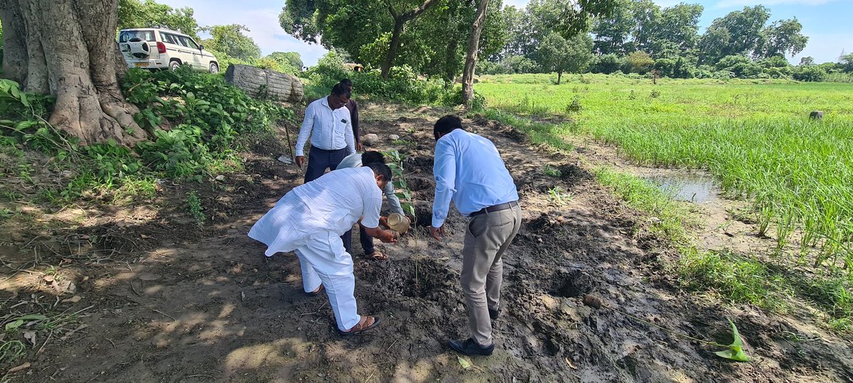 आज पर्यावरण जागरूकता अभियान के अंतर्गत मेरी विधानसभा पूरनपुर के तेरह मिल पर सिंचाई विभाग द्वारा 5200 वृक्ष लगाने का लक्ष्य रखा जिसका वृक्षारोपण कर शुभारंभ किया.इस अवसर पर सहायक अभियंता अशोक सिंह, जूनियर इंजीनियर रामशब्द यादव उपस्थित रहे.