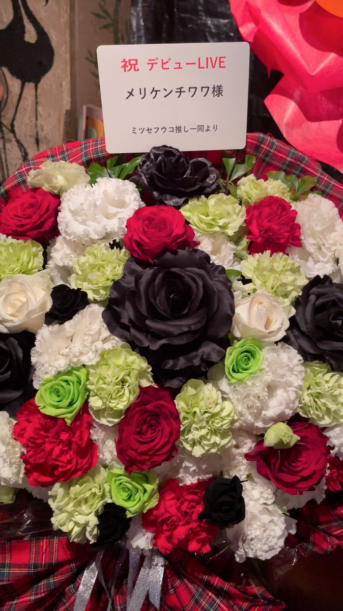 なんとミツセフウコちゃんの推し一同さんからデビューのお祝いのお花をいただきましたワン🐶

ありがとうございますワン🐶🐶🐶🐶🐶