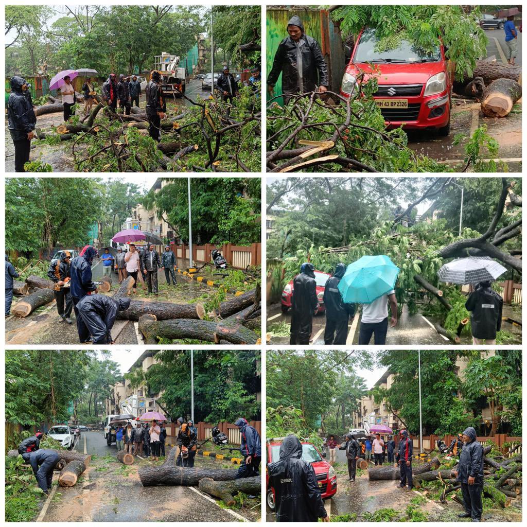 divyavaibhav64's tweet image. Road at sec 4, vashi was blocked due to a huge tree fallen on the road. A call was given to NMMC Fire bridge and they reached the spot within few minutes and cleared the road. Thanks to NMMC Fire bridge, Garden department from quick response &amp;amp; immediate action.
#NMMC #firebridge