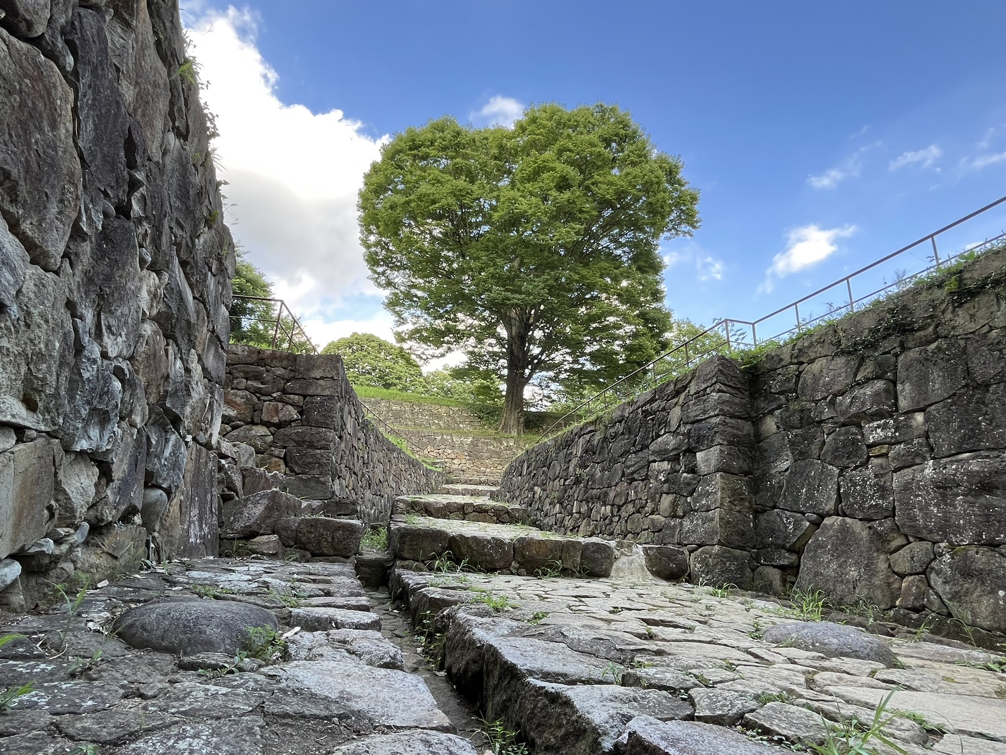 S . hayata 【城log / 小さな窓から城めぐり】 on Twitter 