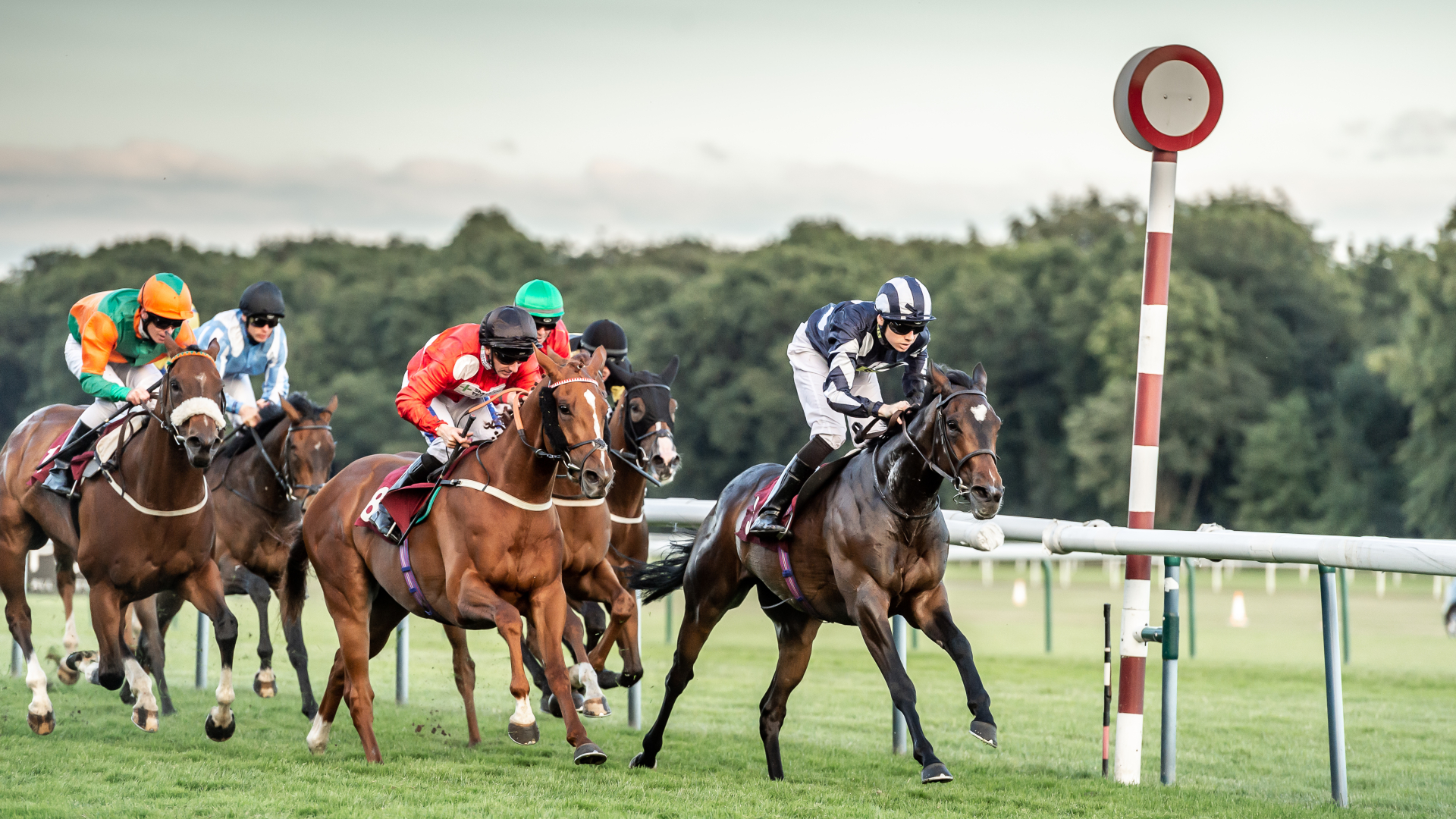 Haydock Park Races on Twitter: 