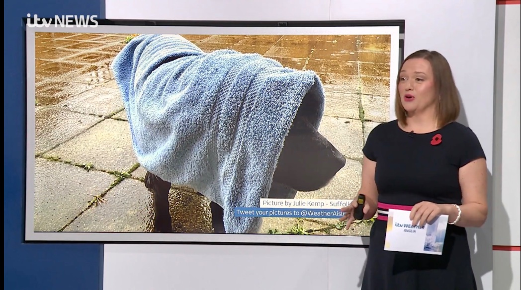 victorthevole's tweet image. My beautiful girl Jess crossed the rainbow bridge yesterday.

The sweetest girl, we are both heartbroken 💔 

Thanks for all the times you featured her @bbcweather @WeatherAisling @ChrisPage90 @BBCLookEast @itvanglia 

These are a few favourites 
#loveukweather #RIPJess