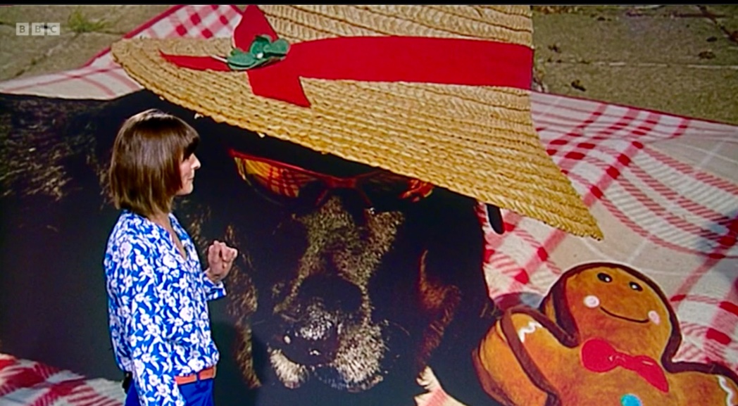 victorthevole's tweet image. My beautiful girl Jess crossed the rainbow bridge yesterday.

The sweetest girl, we are both heartbroken 💔 

Thanks for all the times you featured her @bbcweather @WeatherAisling @ChrisPage90 @BBCLookEast @itvanglia 

These are a few favourites 
#loveukweather #RIPJess