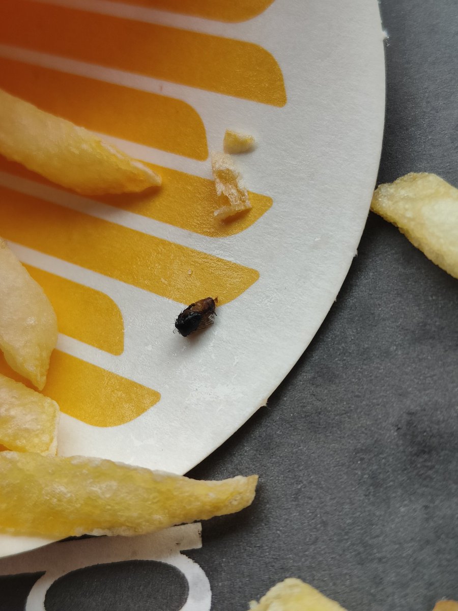 biryaniaddict's tweet image. Asked for #McFries and got a #McFly @McDonaldsPK #Askari11 #Lahore #Pakistan