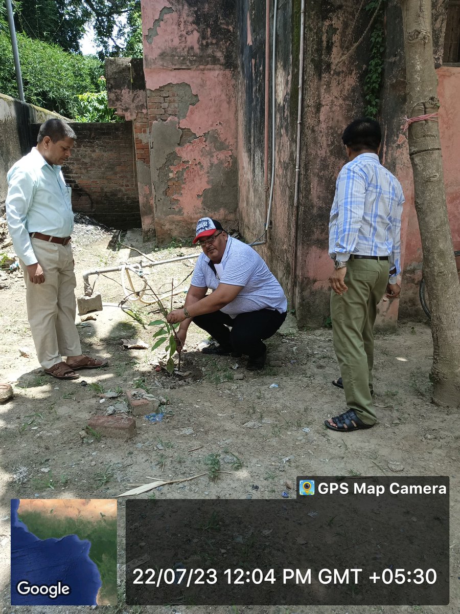 Save tree save earth