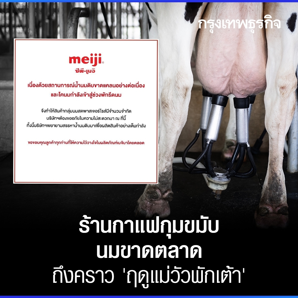 ktnewsonline's tweet photo. น้ำนมโคดิบขาดแคลน ร้านกาแฟเครียด นมพาสเจอไรส์ขาดตลาด ผลจากฤดูแม่วัวพักเต้า! รายใหญ่ “เมจิ” ดีมานด์พุ่ง ของไม่พอขาย จำกัดโควตาการซื้อ แต่ฝั่ง “���หรัฐ” นมล้นตลาด แปรรูปยาก แก้ปัญหาด้วยการ “เททิ้ง”

อ่านต่อ: https://t.co/UkwCLiTfaK

#กรุงเทพธุรกิจ #นมโค #ขาดแคลน #นมขาดตลาด #เมจิ https://t.co/VkIWq4Y0Gk