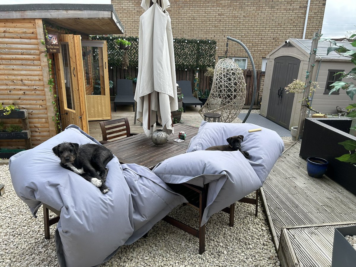 paul harley tweet media