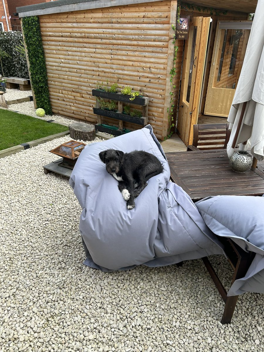 paul harley tweet media