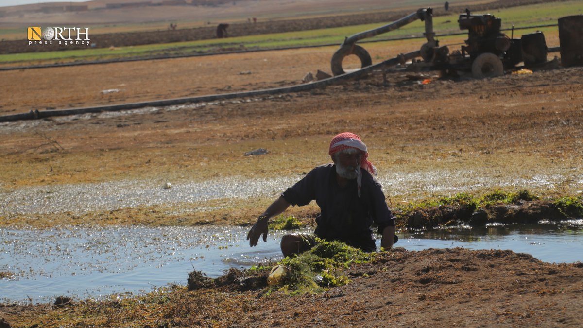 NPA_English's tweet photo. #Turkey's decision to cut off water supply to #Syria’s Euphrates River, continues to have severe consequences, including a receding water level that is causing a drought. The impact on agriculture, access to potable water, and electricity generation is taking a significant toll.
#North_Press #Tabqqa