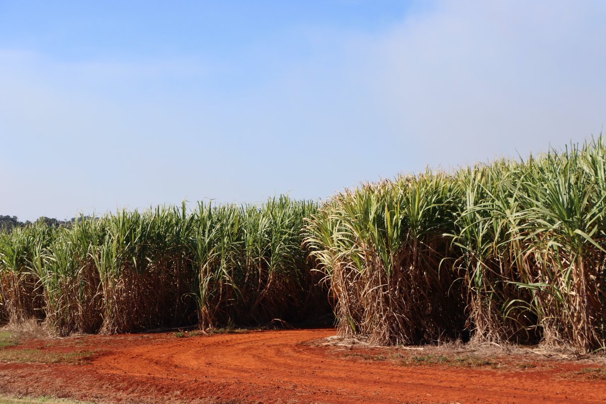 Vanessa Burns tweet media