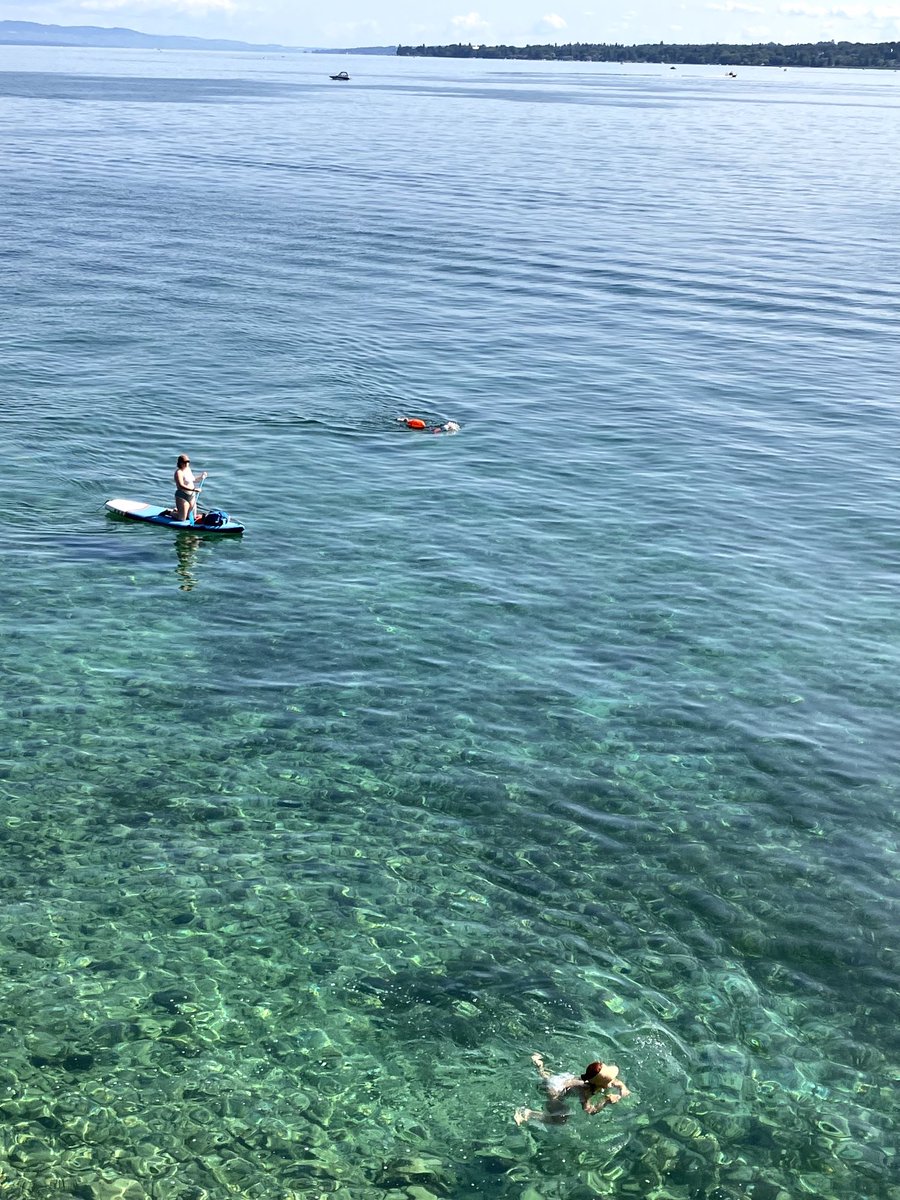 #Happy #Weekend ☀️
#Saturday #Swimming #Triathlon #Training #Standuppaddle #Music #ClearWater #LacLeman #Views #LeVoiron #Hill #France
#Outsideisfree #Nature
#Geneva #Switzerland 🇨🇭
#SwitzerlandTourism_e