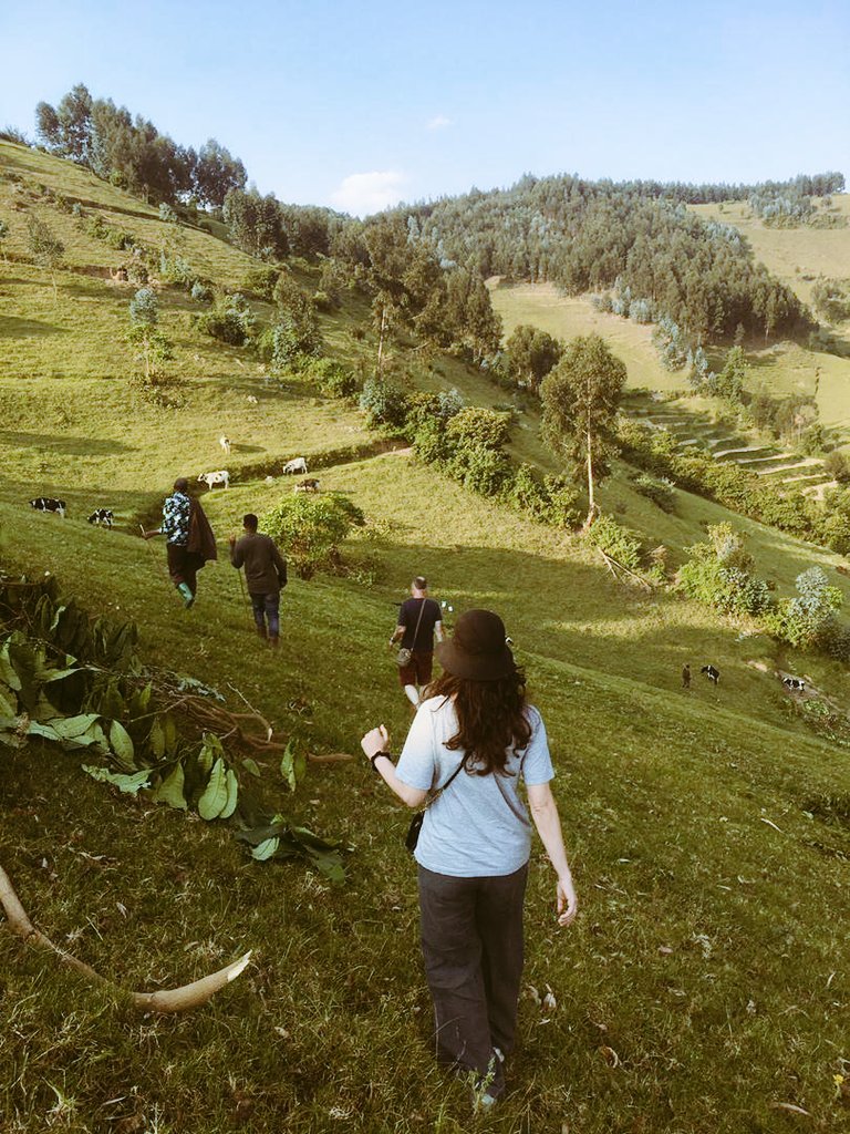 Hiking 🚶‍♂️⛰around gishwati mukura national Park is one in more service we offer