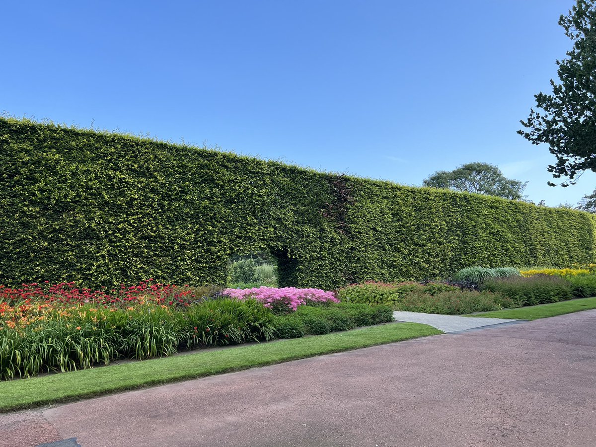 iplantsman's tweet photo. A few shots of the glorious #Herbaceous Borders @TheBotanics where I was on Thursday for @The_RHS #Filipendula forum.  Cracking day, with wonderful #horticulturists, ably cat-herded by the brilliant @meadowmania. 

#planttrials @PlantHerbaceous https://t.co/1Tdb9JTg7B