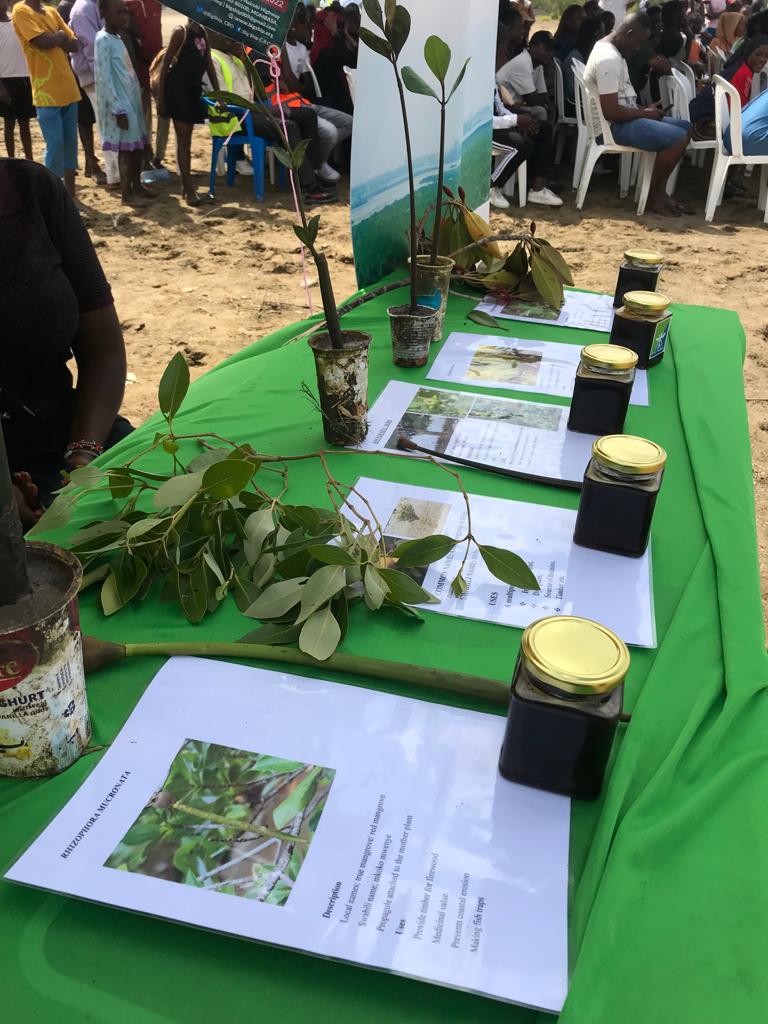 sigoalfred's tweet photo. Mombasa Mangrove Mud Bath Charity Marathon happening now in Mombasa,We are happy for this climate action event..
#Youthnaplanke  #Changemaker4life #Climateaction https://t.co/fXiE9kjJxK