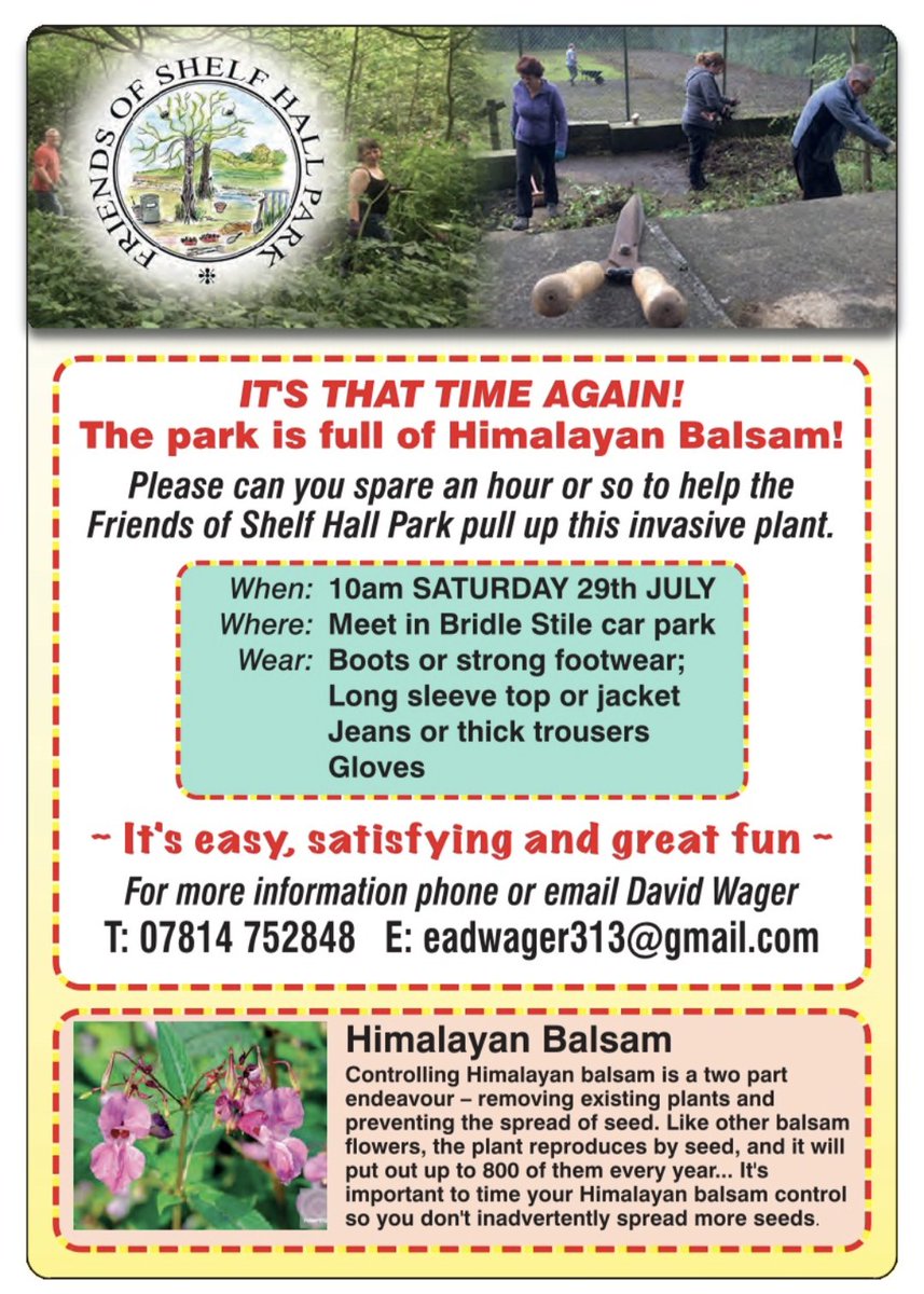 FoShelfHallPark's tweet photo. Can you spare an hour? Volunteers needed for Balsam bashing 😁 https://t.co/Y3N0wZSoj9