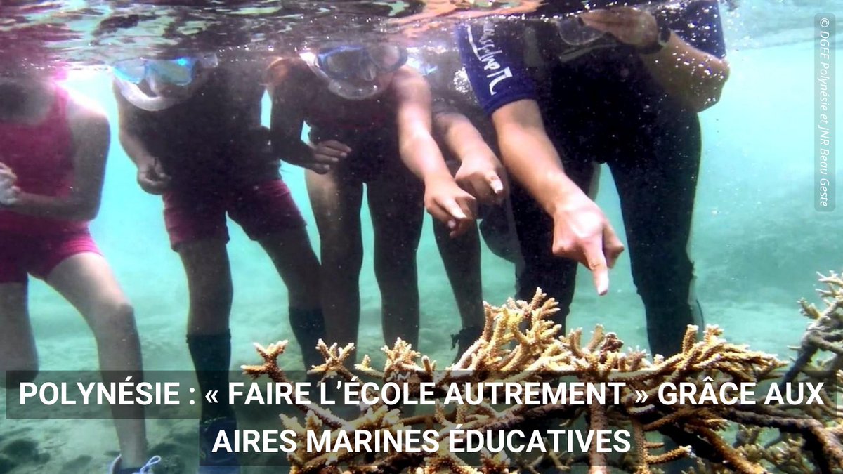 En Polynésie, nous soutenons les Aires marines #éducatives pour former les élèves à la gestion du milieu maritime qui les entoure et prendre conscience de leur territoire, de sa #Biodiversité 🐠 et de leur culture.

En savoir plus bit.ly/44LwAdQ
<a href="/education_gouv/">Ministère Éducation nationale</a>
