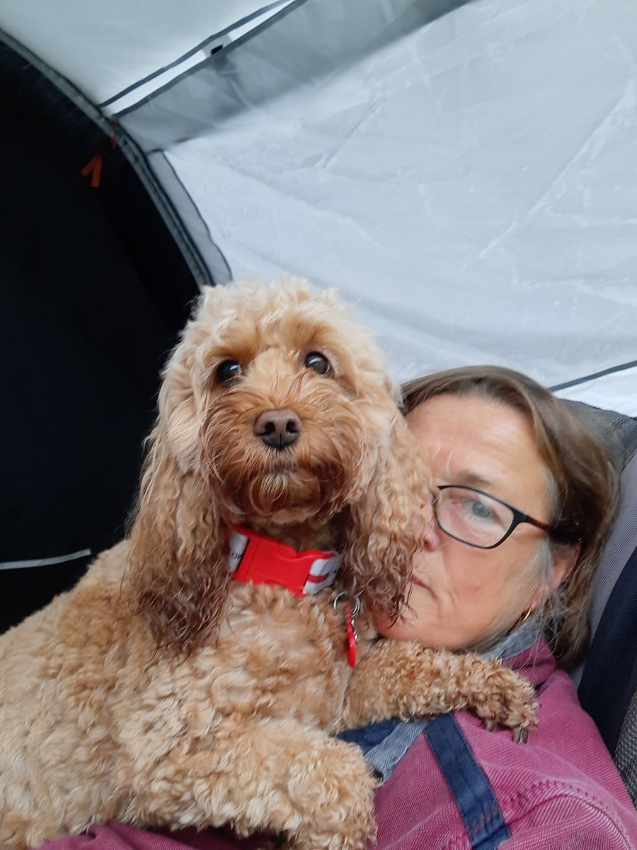 Camping in the rain with my doodle friends