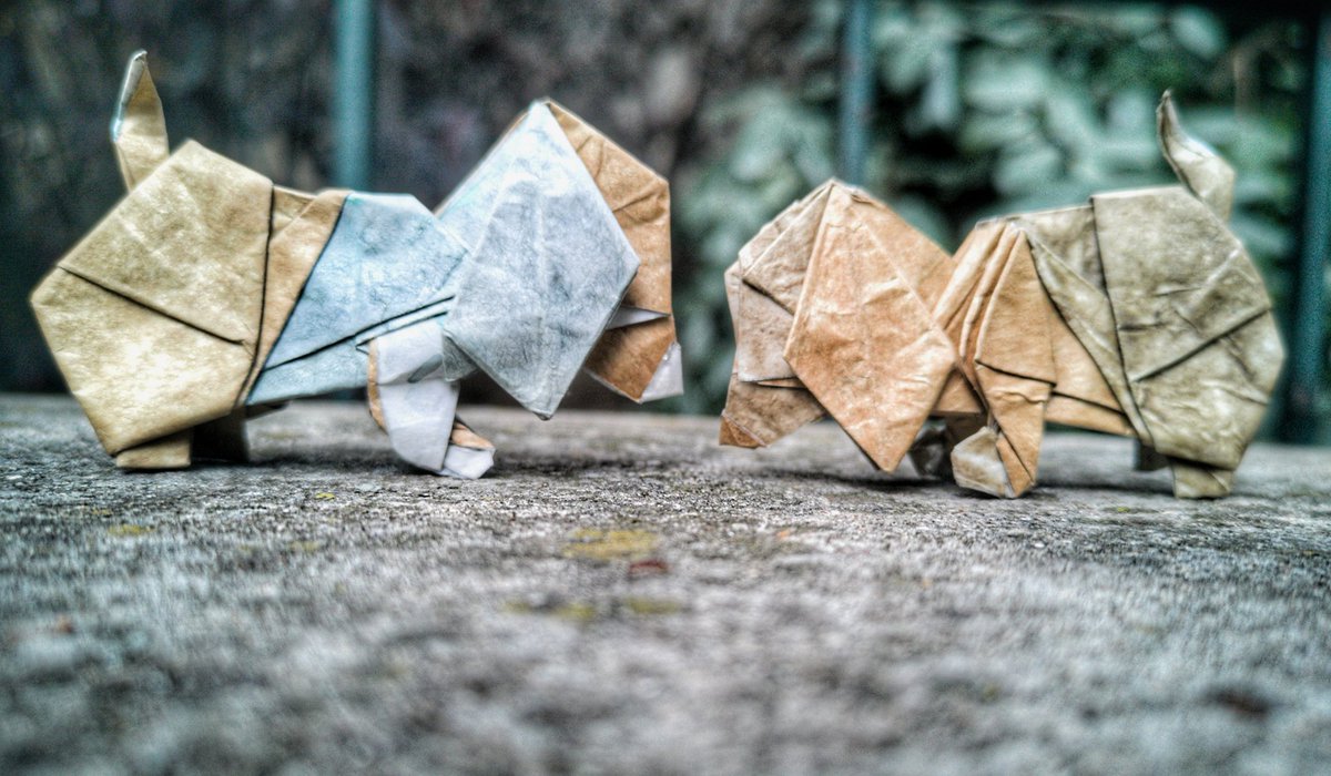 BarthDunkan's tweet photo. Origami Sniffer Puppy..
Chiot stylisé et plié à partir d'un carré par Barth Dunkan (EcOrigami).
Puppy designed and folded from a square by Barth Dunkan (EcOrigami)
#barthdunkan #ecorigami #puppy #origami #paperfolding #paperart #mfpp #Amazon #origamidog #origamipuppy https://t.co/oHZr4clDJb