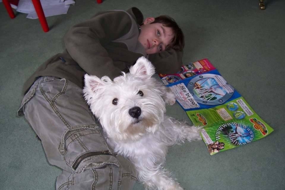 #Oliverscampaign 
Thank you my dear Twitter family You have helped me to gather 49,084 signatures for Olivers petition asking for All teachers to have training on understanding Autism &amp; Learning Disability
Can you please help me to get 50k signatures

petition.parliament.uk/petitions/6390…