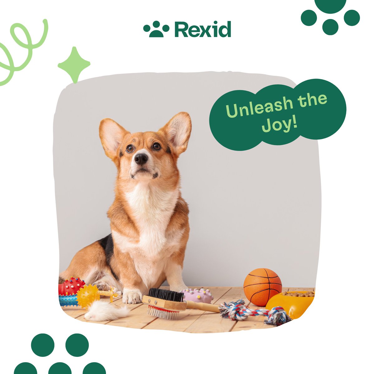 🏞️ Enjoy the outdoors with your pet! Keep them safe with Rexid microchips & smart tags. Trust in our safety. 🐾🛡️ #OutdoorPets #PetSecurity