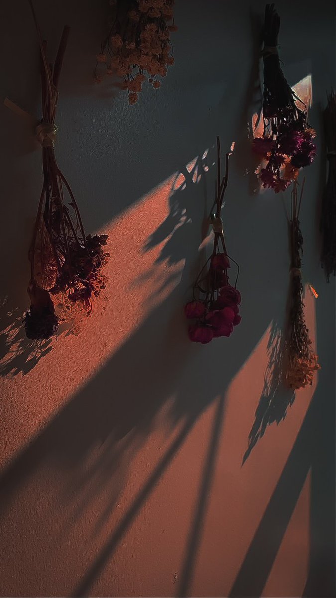 — Время – сложное понятие и далеко не так линейно, каким его представляют. 

Юноша цветы иссохшие оправляет, бутоны оглаживая с осторожностью. Случайное - или намеренное - движение, лёгкий ветер и лист одинокий опадает на пол, выцветший, как само время. 

— Рад новой встрече.