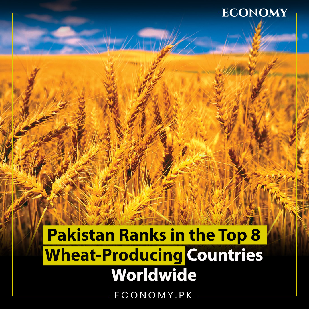 economy-pk-on-twitter-pakistan-ranks-in-the-top-8-wheat-producing