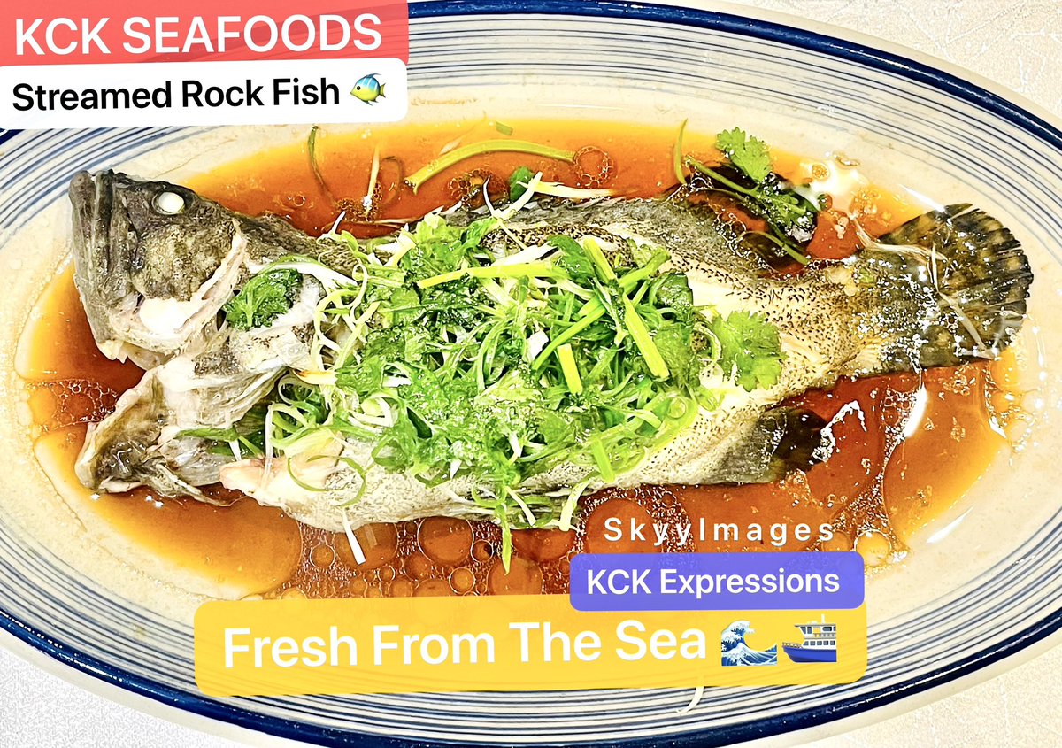 KckLibrary's tweet image. Expressions shape the mind 👍🥇👩‍💻🍷💋🚗🌎#KckLibrary🌎📚 #KckFoods🍔