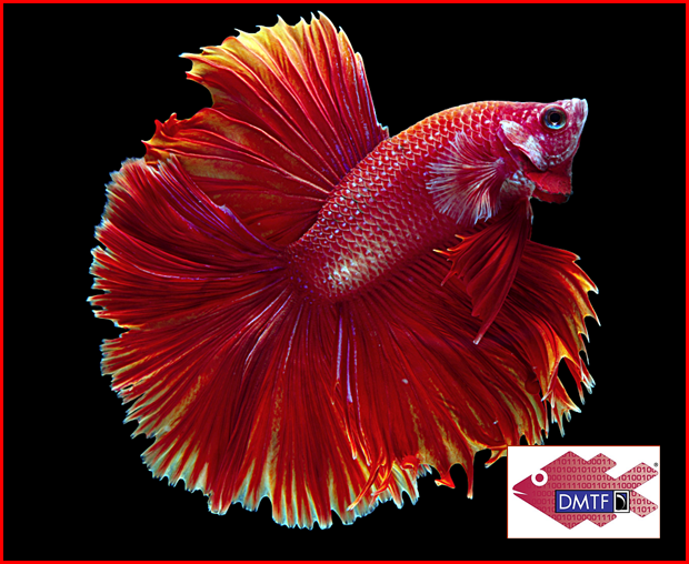 elektriktesisatportali.com/uctan-uca-yazi…