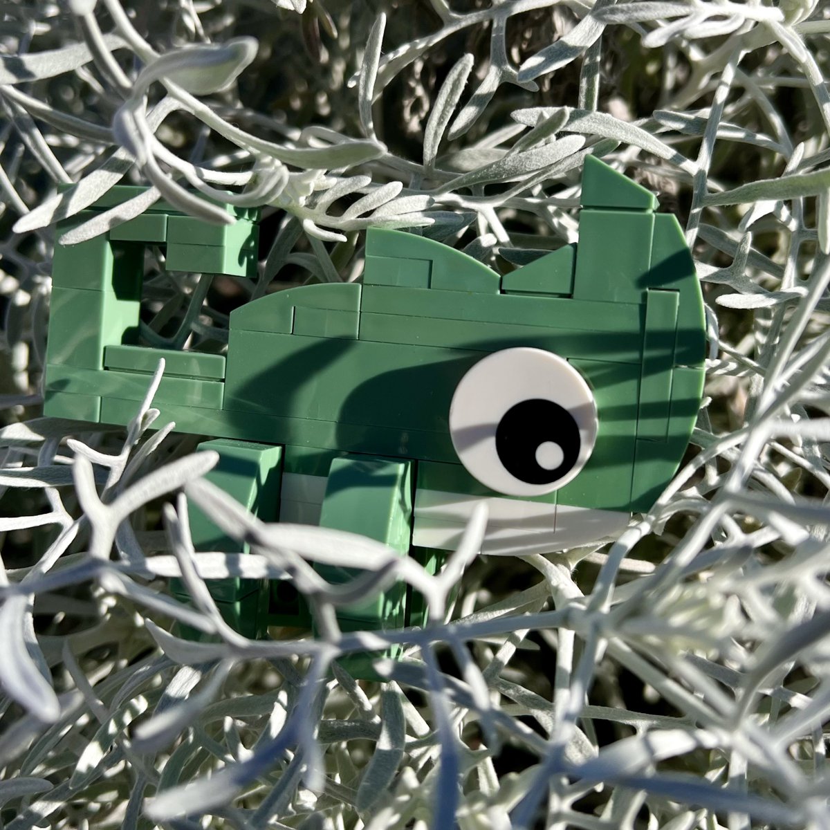PisangG23's tweet photo. GM GM
Enjoying the grey outdoors ππ©Ά
#TinyTroubles #LEGO #chameleon #BUIDL #touchgreen https://t.co/Xmmm1GKNqi