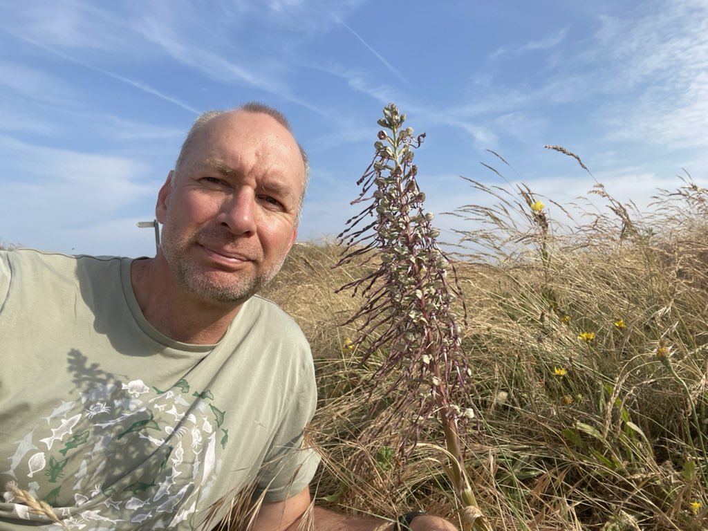Hurrah to all who opposed the application to build a hotel, spa, pool and gym slap bang on top of Britain’s second largest colony of Lizard orchids (pictured) amidst a unique ecosystem. The application has now been withdrawn. Together we can make a difference 👏