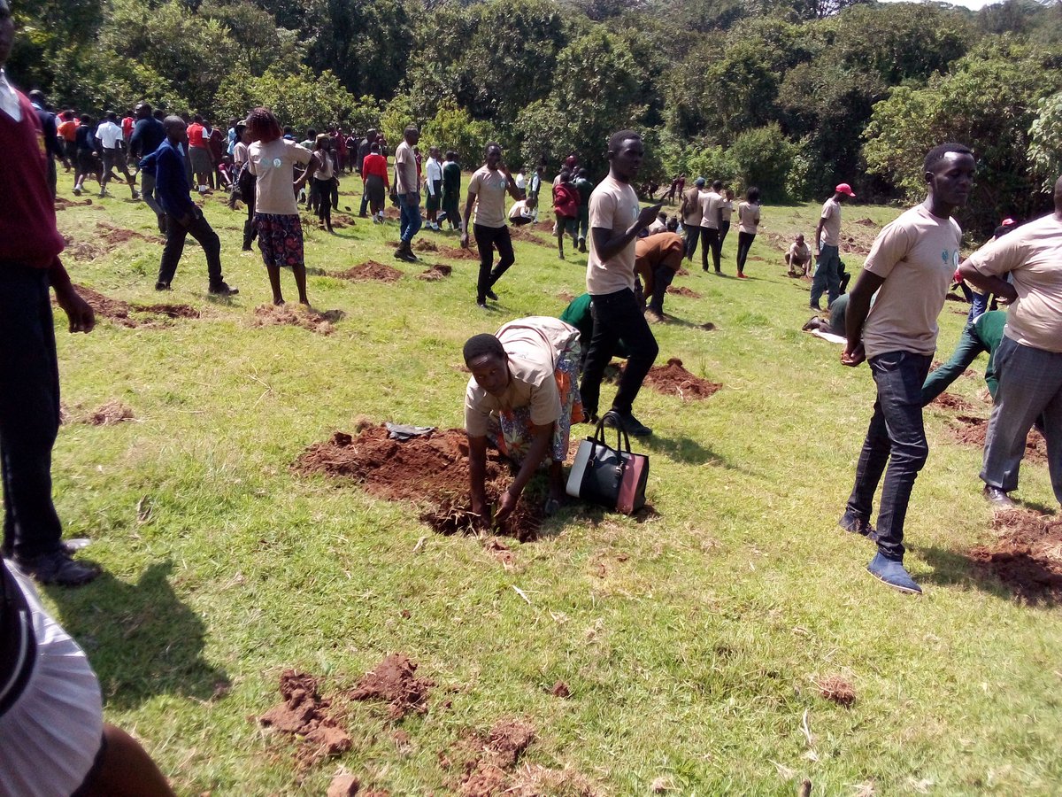 ecogreenlifeG's tweet photo. Tuko site. Mama doing Good is a success. Thanks to all who came to help and leave a very indelible mark in greening the planet. #MamaDoingGood #Ecogreenlifeglobal #CanopyYouthGroup #Kiptapkei #thegreeningcaravan #ClimateAction #ClimateJustice  #ClimateActionNow https://t.co/hw9nXE5cgF