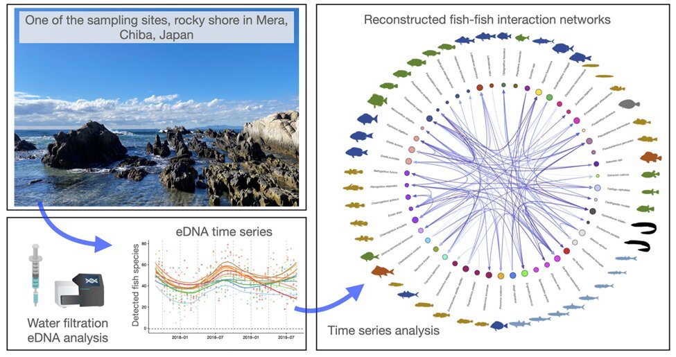 DataStatistic's tweet image. #statisticalanalysis
Deciphering fish species interactions for climate change insights
More inf: statisticconference.blogspot.com
International Research Awards on Statistical Methods for Analyzing Engineering Data
Visit: …cal-methods-conferences.researchw.com
#statistics