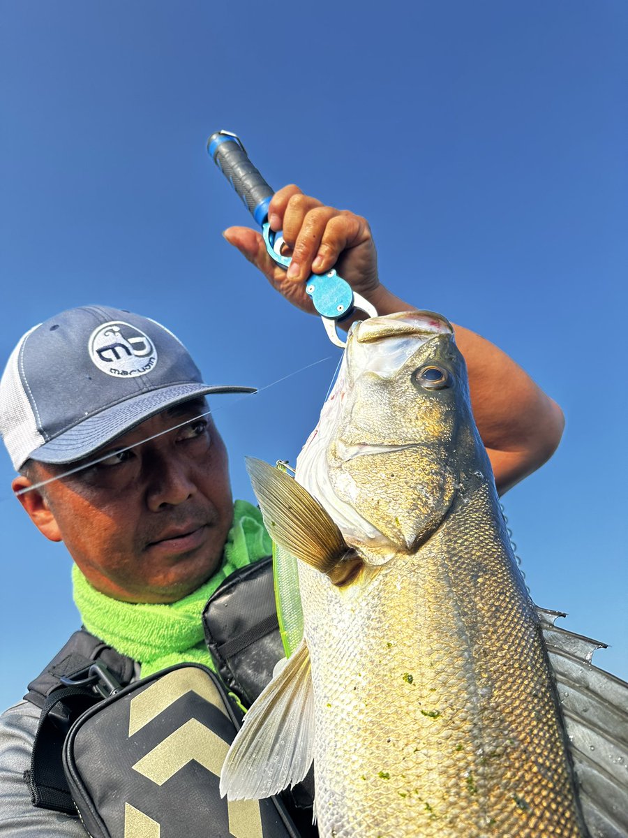 2224K's tweet photo. UKBW170Fが止まらない
湘南サーフシーバス
90cm85cm75cm
近くで釣りしてた方に
写真撮って頂きました
有難うございました🙇🏻
#湘南サーフシーバス
#マルジン
#UKBW170F
#マーカレ65
#パームス
#ショアガンエヴォルブ
#VARIVAS
#VARIVAS4 https://t.co/y9tFgSabgi