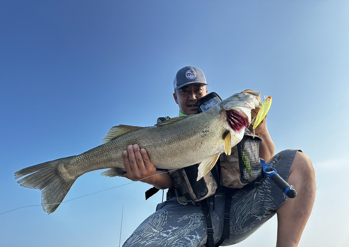 2224K's tweet photo. UKBW170Fが止まらない
湘南サーフシーバス
90cm85cm75cm
近くで釣りしてた方に
写真撮って頂きました
有難うございました🙇🏻
#湘南サーフシーバス
#マルジン
#UKBW170F
#マーカレ65
#パームス
#ショアガンエヴォルブ
#VARIVAS
#VARIVAS4 https://t.co/y9tFgSabgi