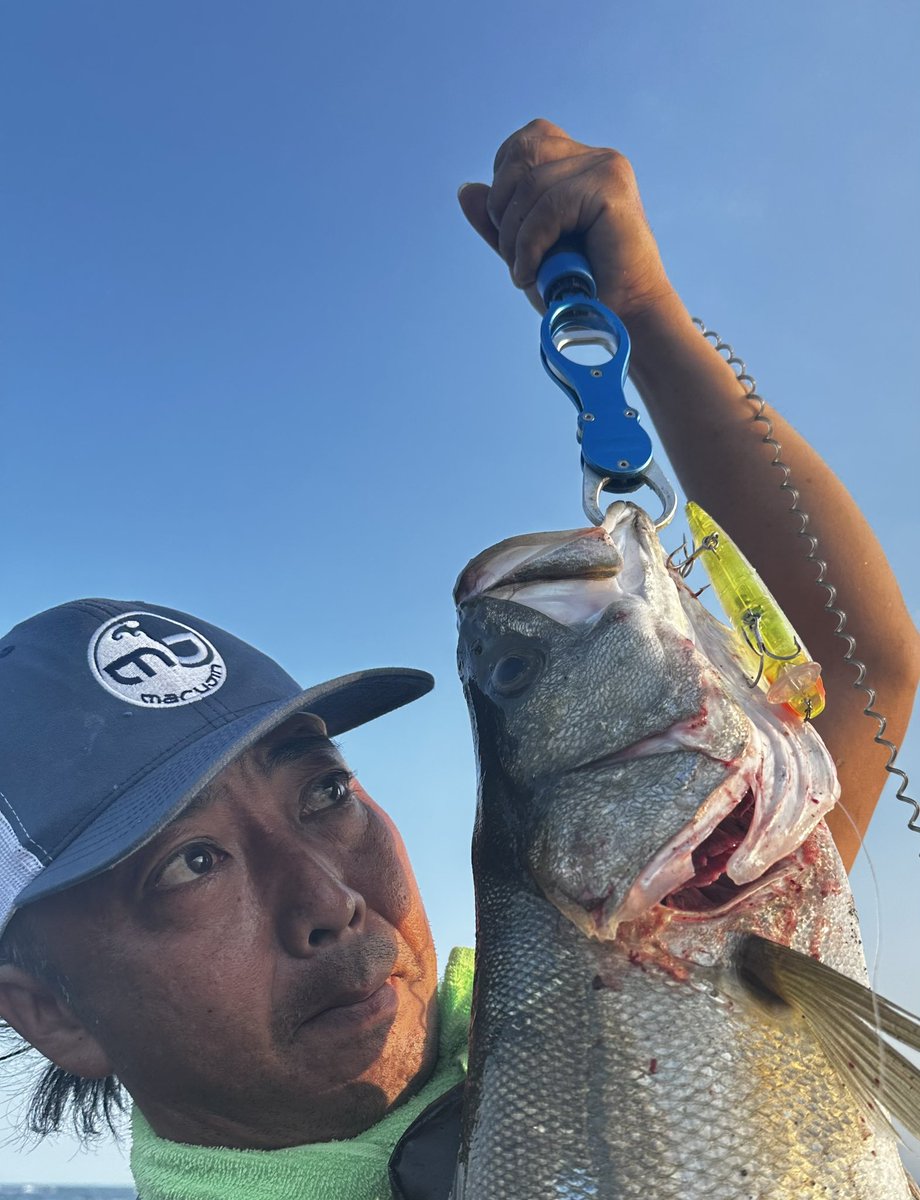 2224K's tweet photo. UKBW170Fが止まらない
湘南サーフシーバス
90cm85cm75cm
近くで釣りしてた方に
写真撮って頂きました
有難うございました🙇🏻
#湘南サーフシーバス
#マルジン
#UKBW170F
#マーカレ65
#パームス
#ショアガンエヴォルブ
#VARIVAS
#VARIVAS4 https://t.co/y9tFgSabgi