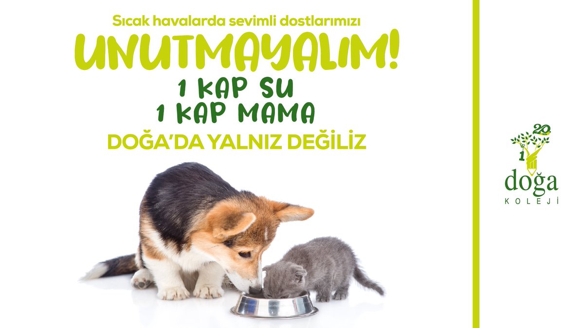 Doğa Koleji tweet media