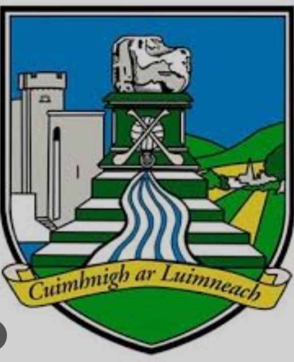 BloodBikeMW's tweet photo. Best of luck this Sunday to Limerick in the All Ireland Senior Hurling Final. Transporting Samples to the University Hospital Limerick, today Eoin Stephenson is on duty. Tomorrow Deirdre Costello will be looking after our local hospitals.
#quotedevil 
https://t.co/ymqJ7si6Cs https://t.co/qJcVhoxuR8