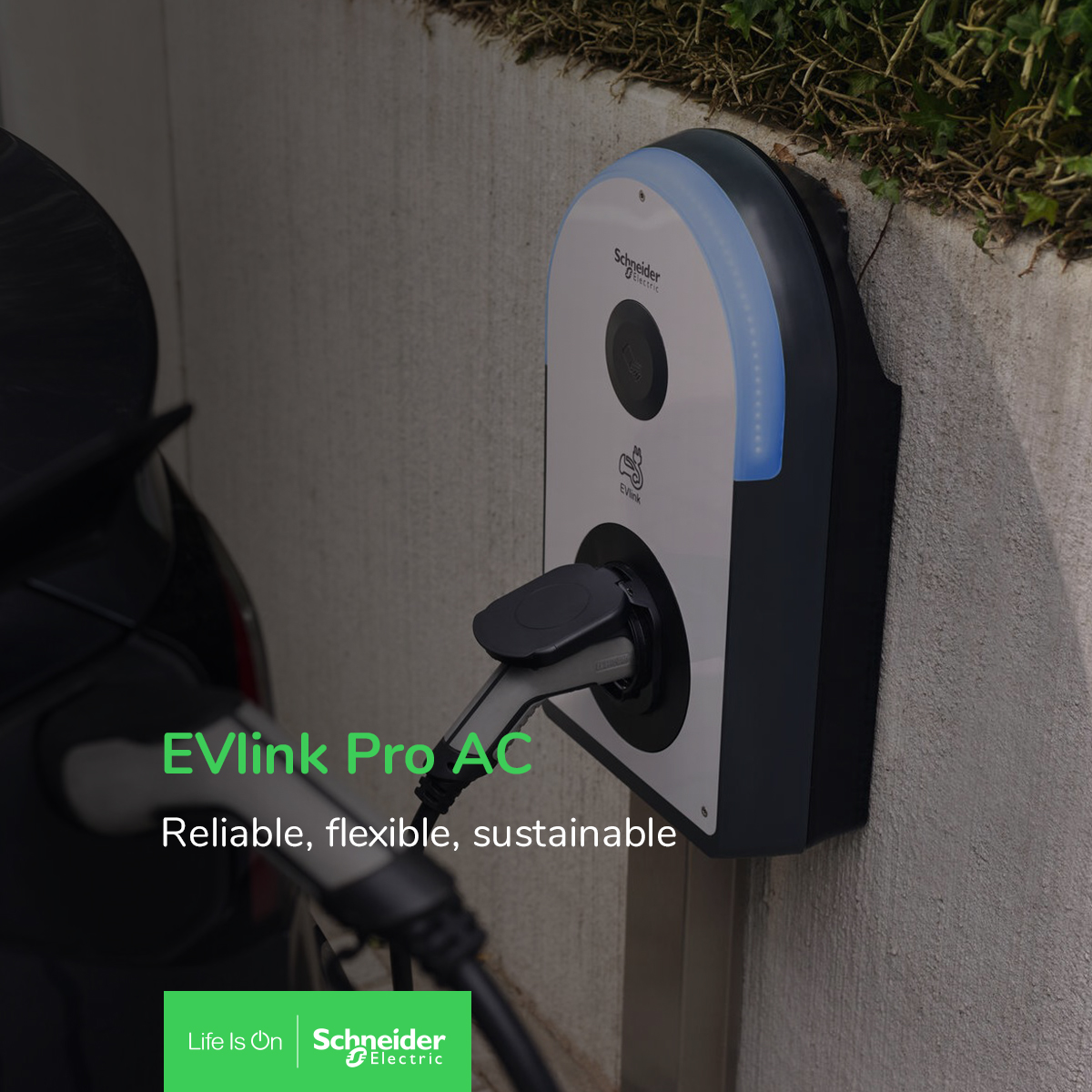 SchneiderUKI's tweet photo. Looking for Commercial EV chargers? EV Link Pro AC chargers from #schneiderelectric provide highly reliable, flexible, and sustainable smart charging.
Check out https://t.co/z5hGQy2uuk for full details.
#LifeisOn #EVlink https://t.co/yyYvdDZkwY