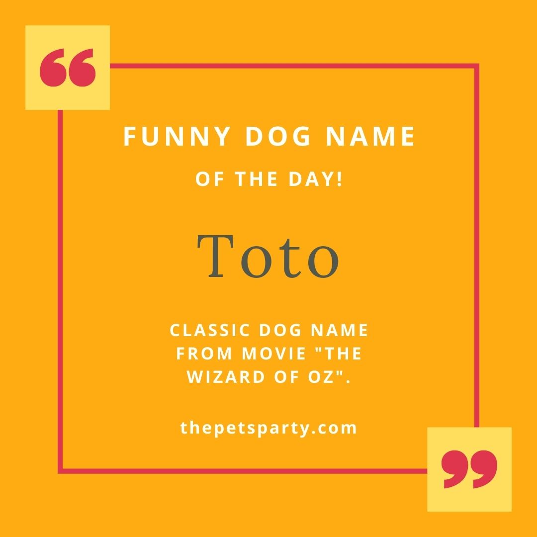 Do you agree? 🥰

#DoggyJoy #DogsOfTwitter #PuppyLove #AdorablePuppies #FunnyDogs #DogLife #DogLove #DogParenting #DogsLover #Fun #DogName #PuppyName #FunnyNames